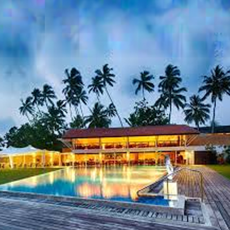 20% Savings on Reservations 