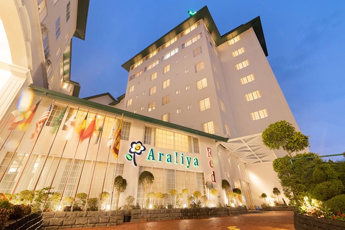 25% Savings on Reservations 