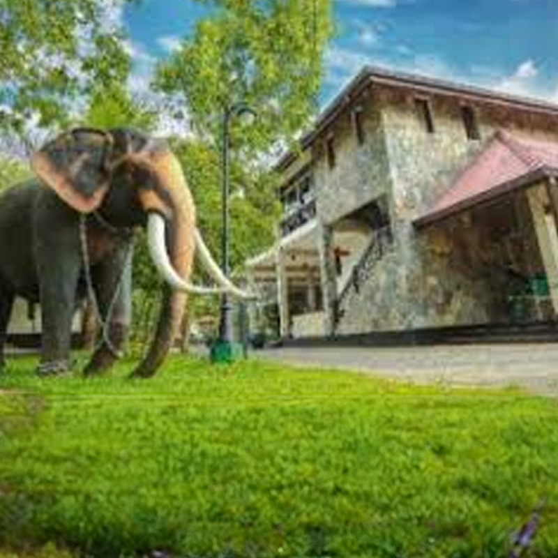 25% Savings on DBL/FB basis & 20% Savings on TPL/FB basis reservations