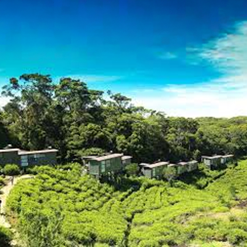 21% Savings on DBL & TPL reservations on FB basis