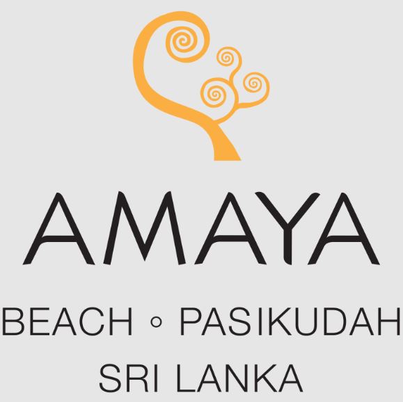 38% Savings on reservations