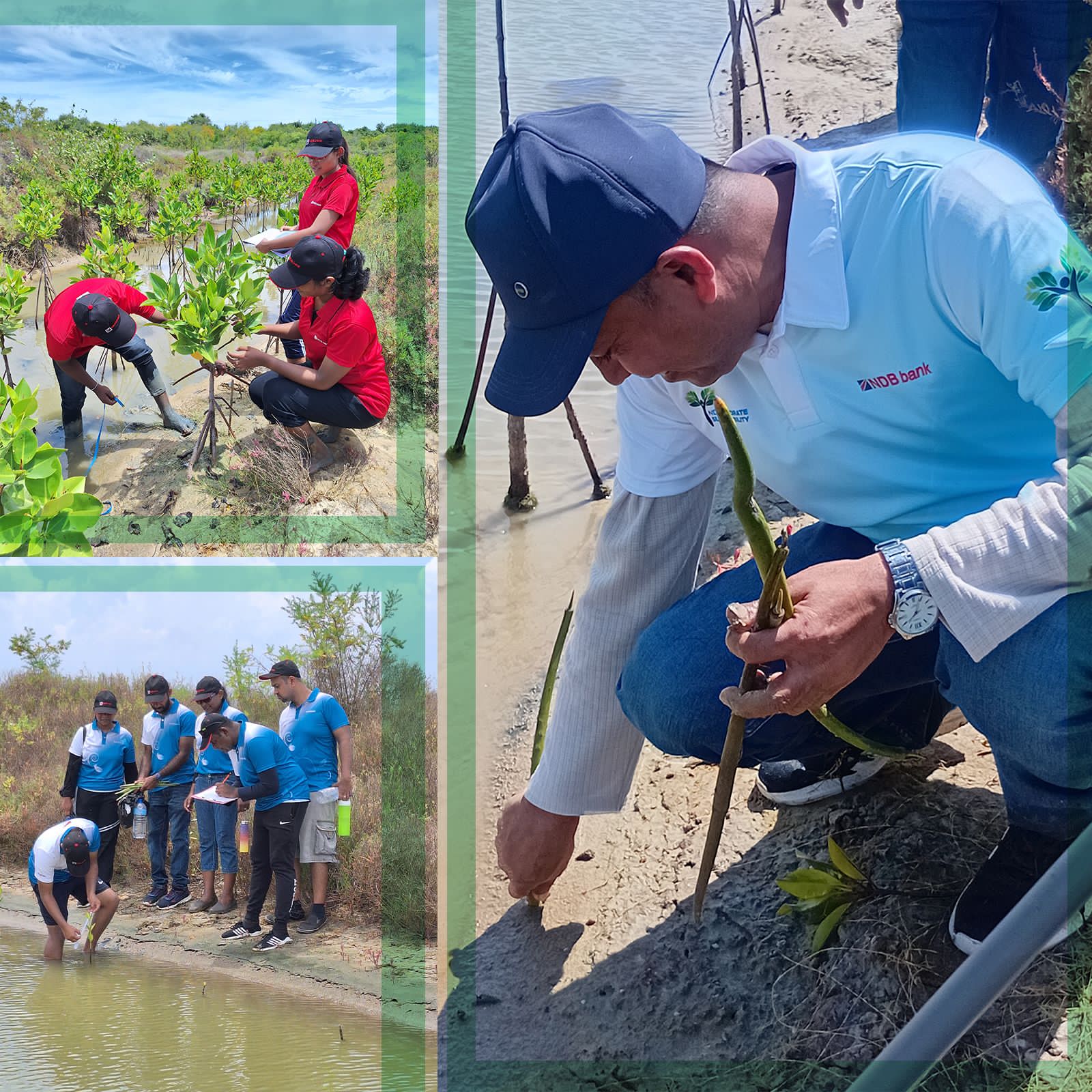 Climate Projects