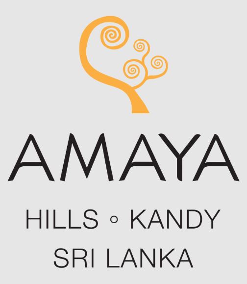 38% Savings on reservations
