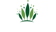 Up to 35% Savings on Reservations