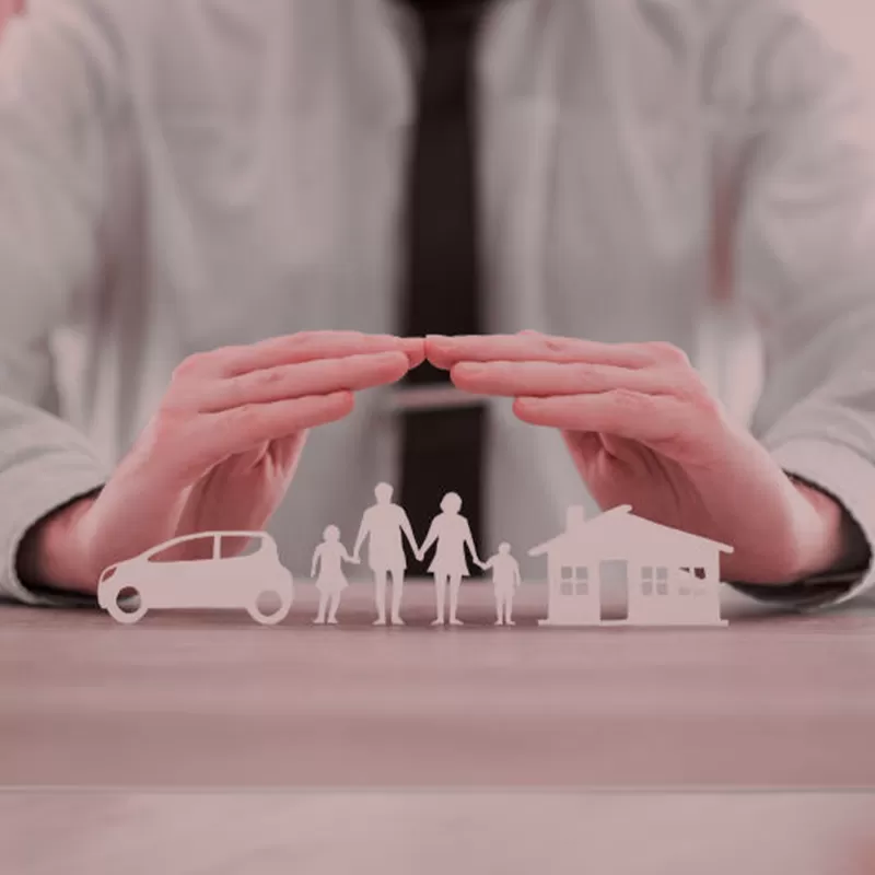 Insurance & Protection